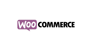 30 Minutes Homemaide help: Increase sales and decrease costs for your WooCommerce website