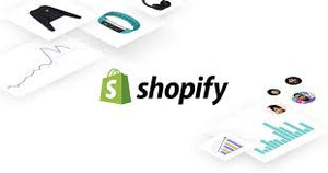 30 Minutes Homemaide help: Increase sales and decrease costs for your Shoppify website